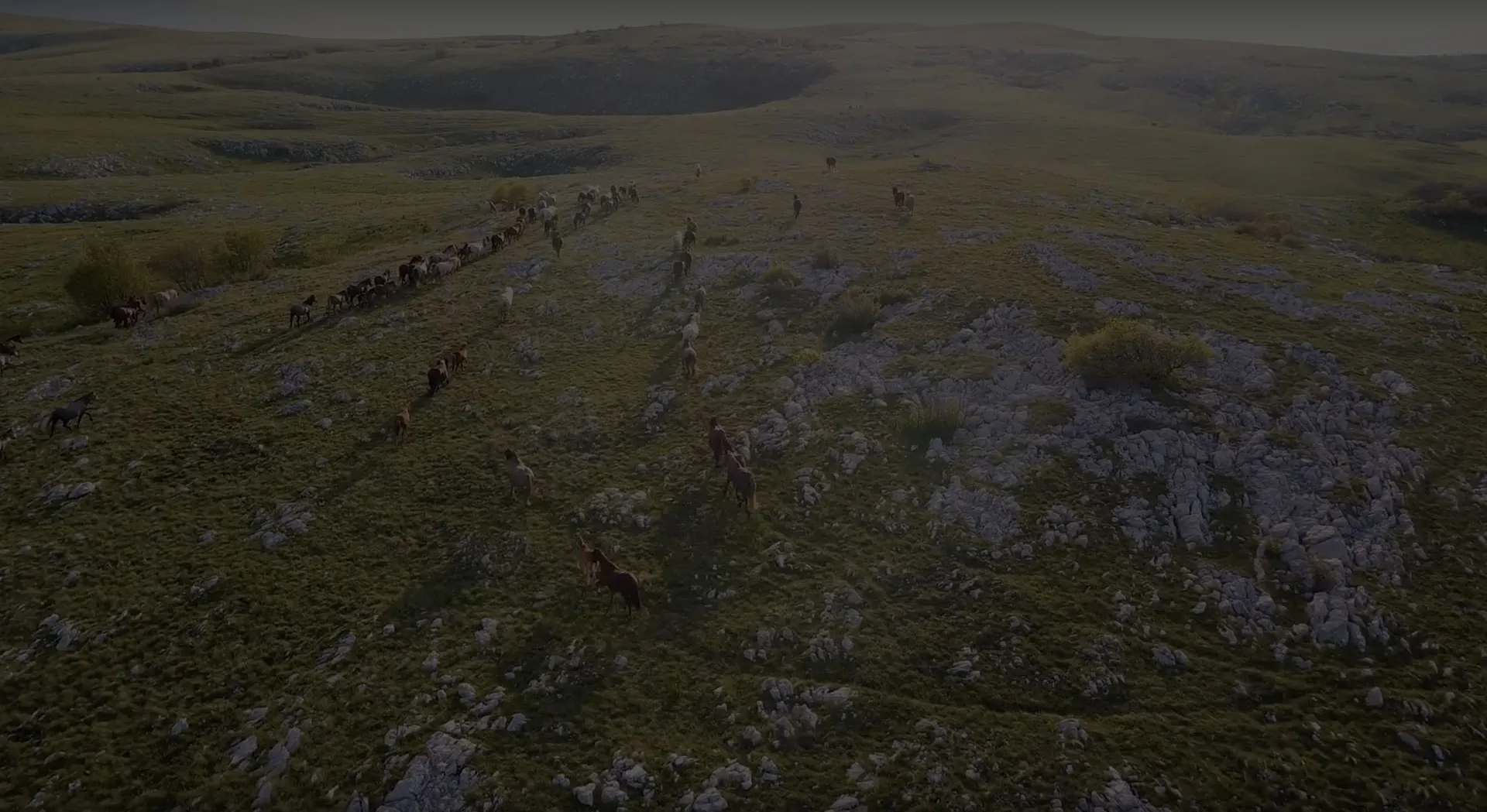 Continental Adventure of Livno (4K)